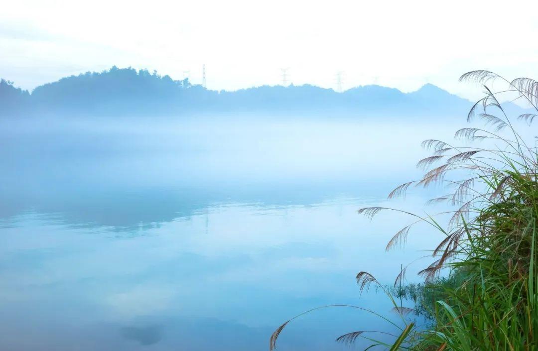 落雨听禅的古诗（充满禅意的诗词）