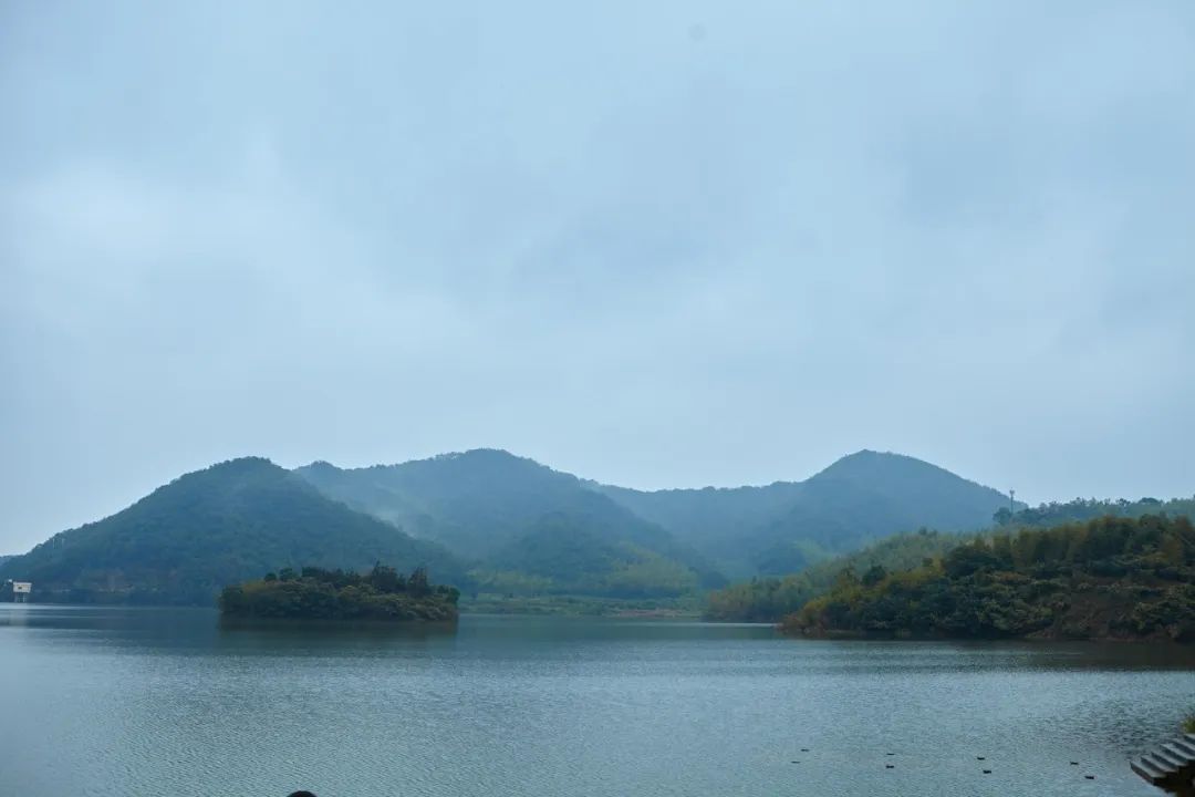 落雨听禅的古诗（充满禅意的诗词）