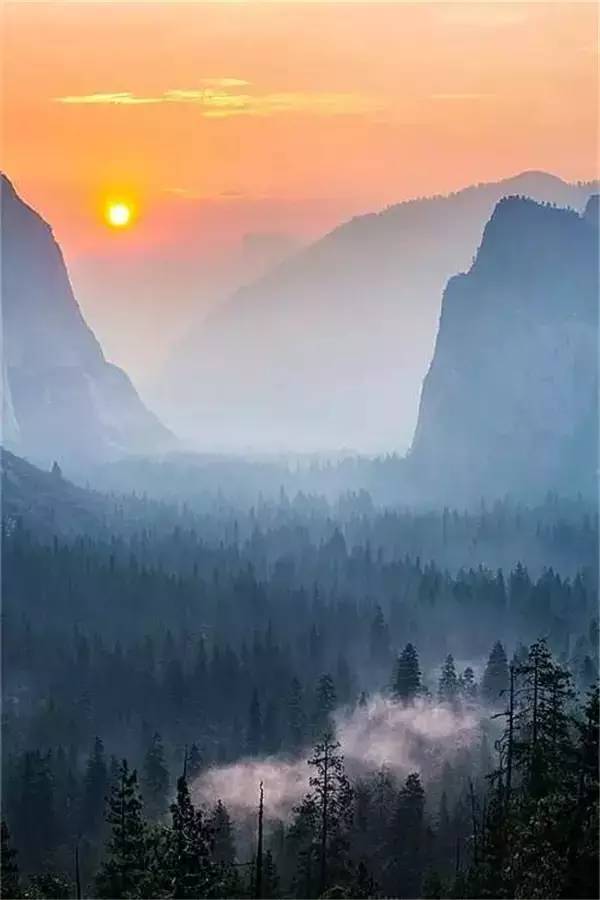 半床卧听南溪雨，酿得山居一夜凉（魏偁的十首诗词）