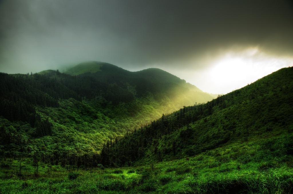 千古苍凉天水碧，一生缱绻夕阳红（陈曾寿的十首诗词）