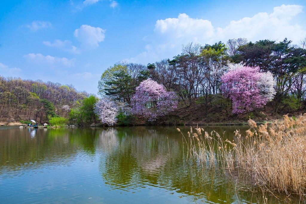 千古苍凉天水碧，一生缱绻夕阳红（陈曾寿的十首诗词）