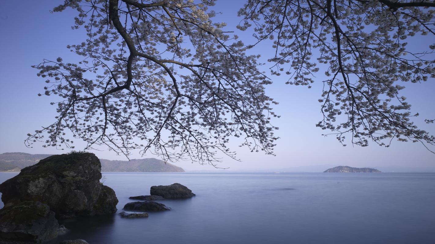 满蓑烟雨朝出，一笛斜阳暮归（黎扩的十首经典古诗）