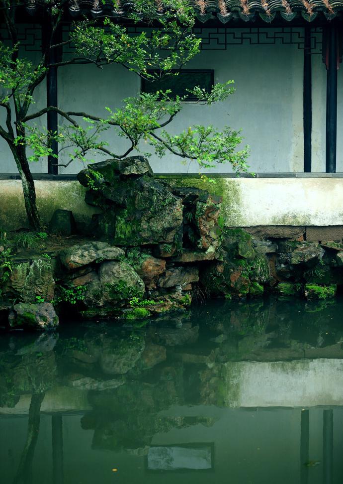 花有重开日，人无再少年（陈著的十首经典诗词）