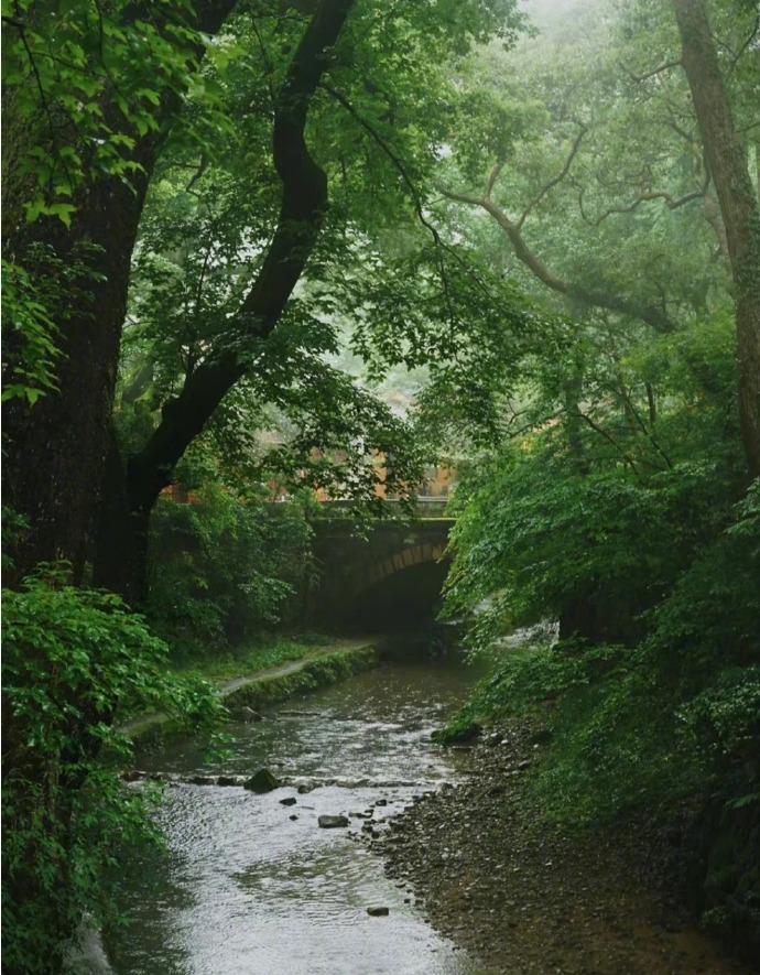 溪风凉送暑，山月夜留人（汤右曾的十首经典诗词）