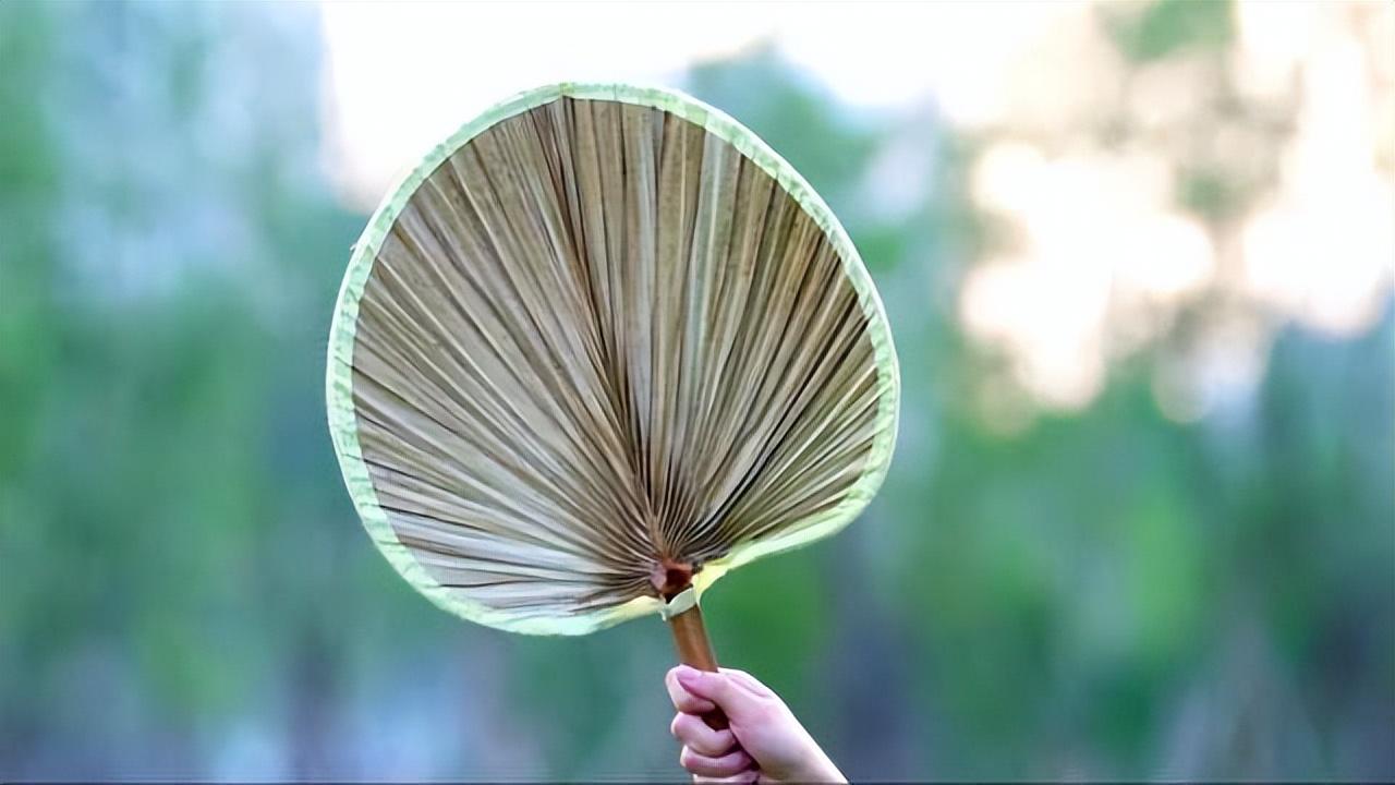 南风不用蒲葵扇，纱帽闲眠对水鸥（十五首关于蒲葵扇的诗词）