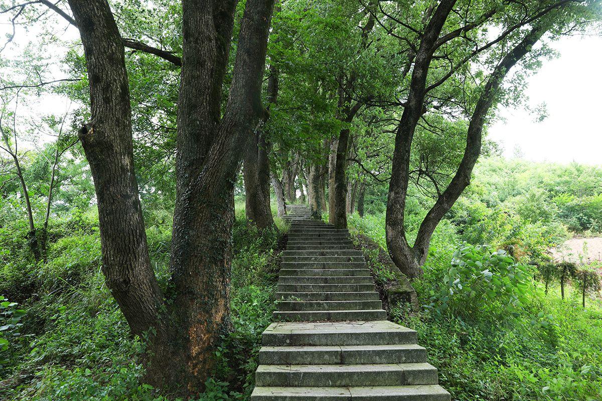 脱巾挂石壁，露顶洒松风（二十首山中夏日诗词）