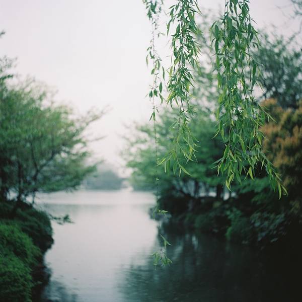 清风明月虚无境，白雪阳青寂寞心（黄庶的十首经典诗）