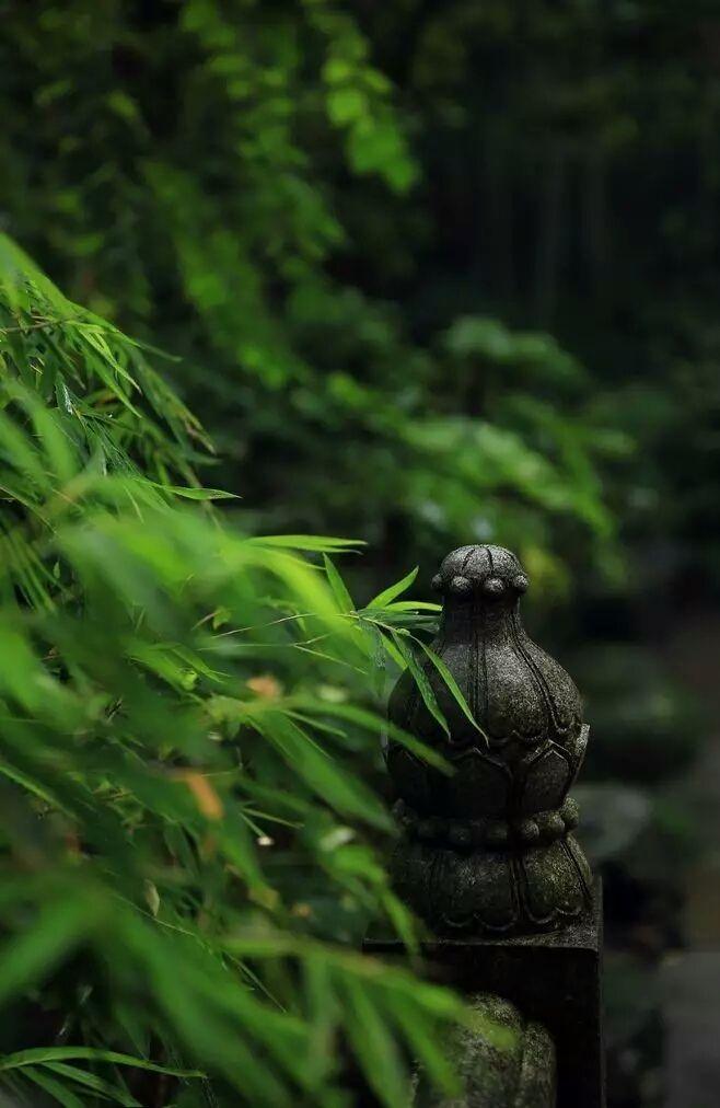 清风明月虚无境，白雪阳青寂寞心（黄庶的十首经典诗）