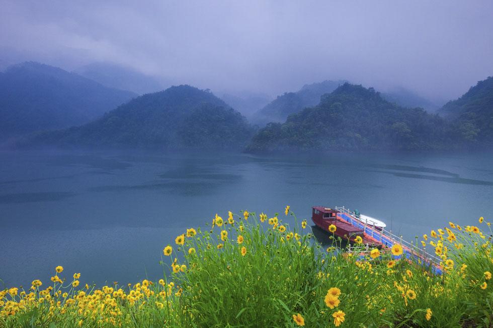 蔷薇花开，池塘水满（二十首唯美的五月诗词）