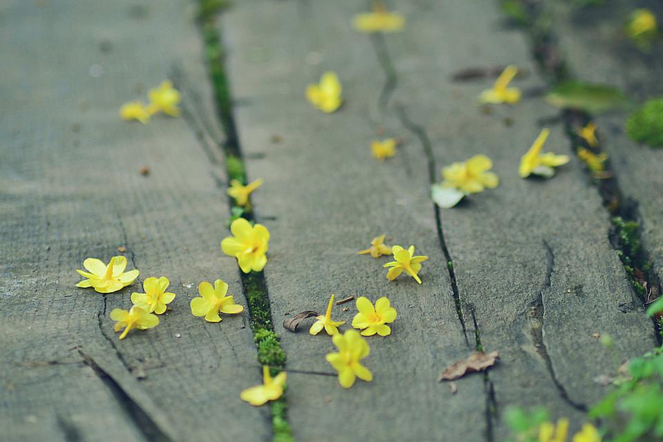 人间暮春，花落时节（20首优美落花诗词）