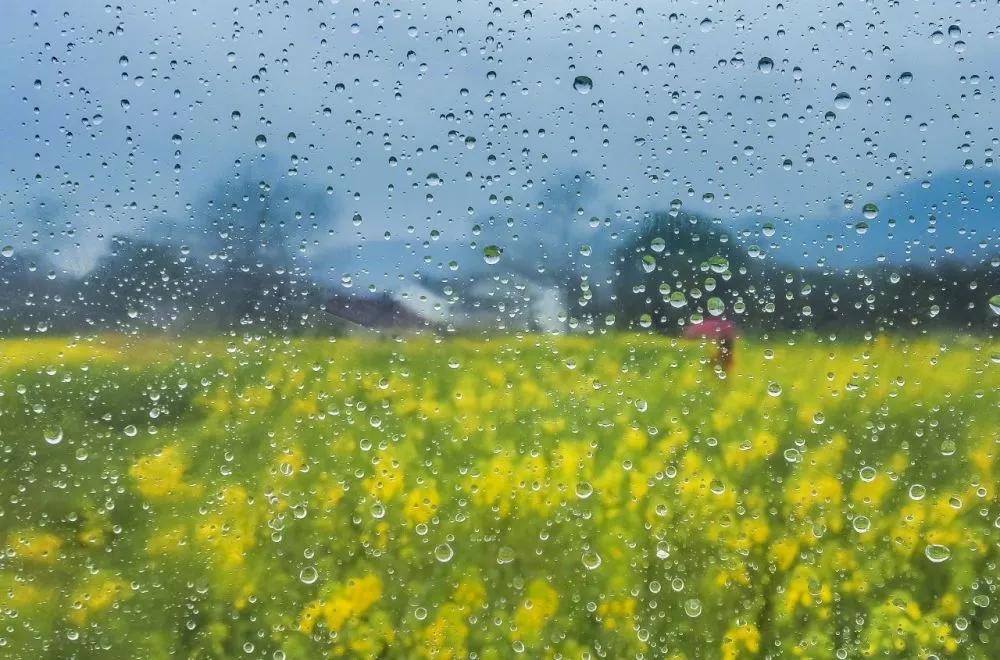 轻雷一声，微雨落花（十二首关于轻雷的诗词）