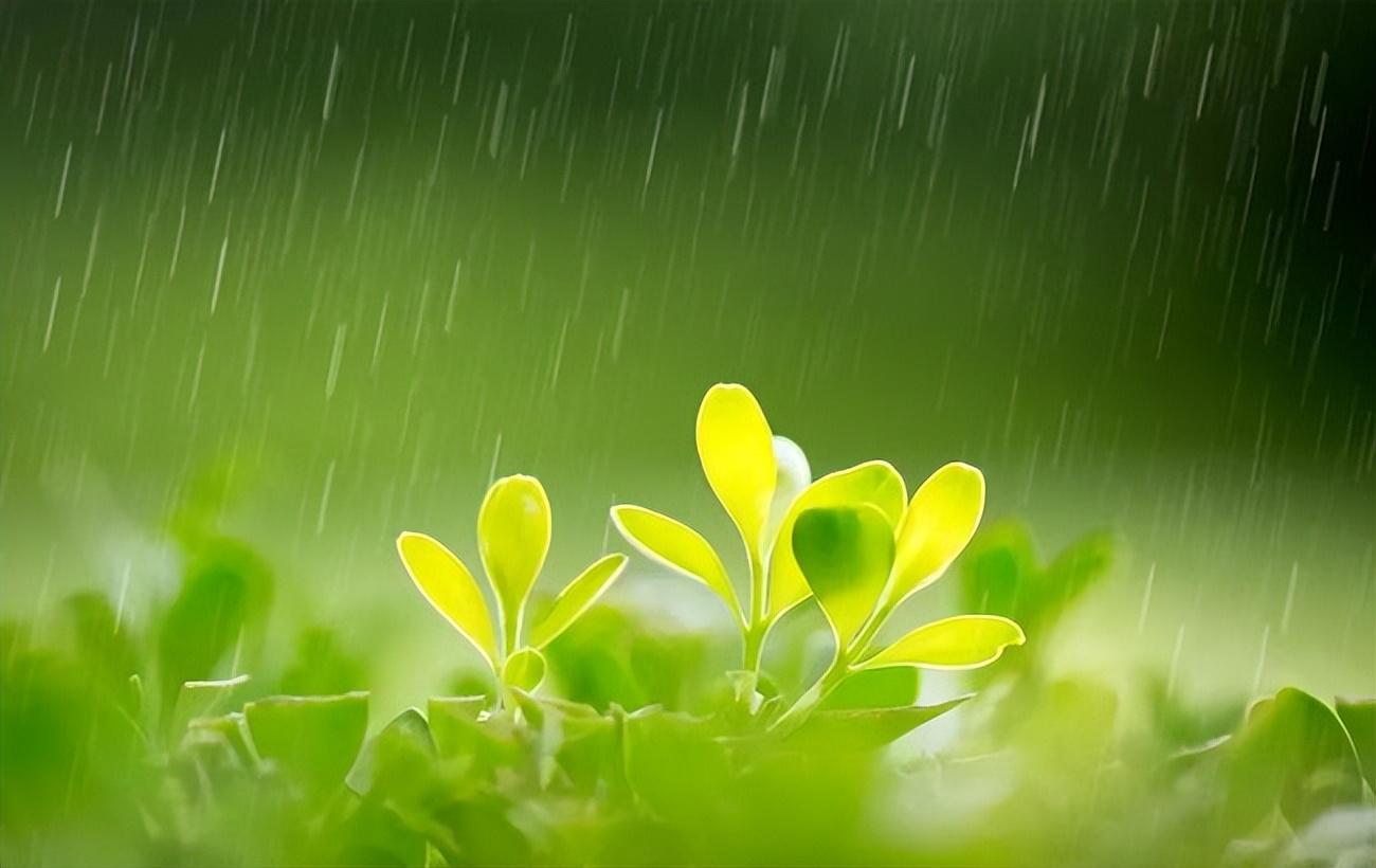 轻雷一声，微雨落花（十二首关于轻雷的诗词）