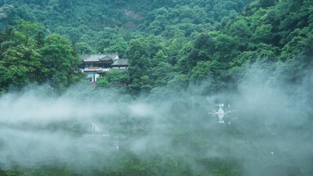 十年踪迹走红尘，回首青山入梦频（十二首经典归隐诗词）