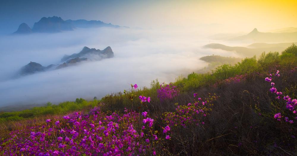 春山多胜事，赏玩夜忘归（十五首唯美的春山诗词）