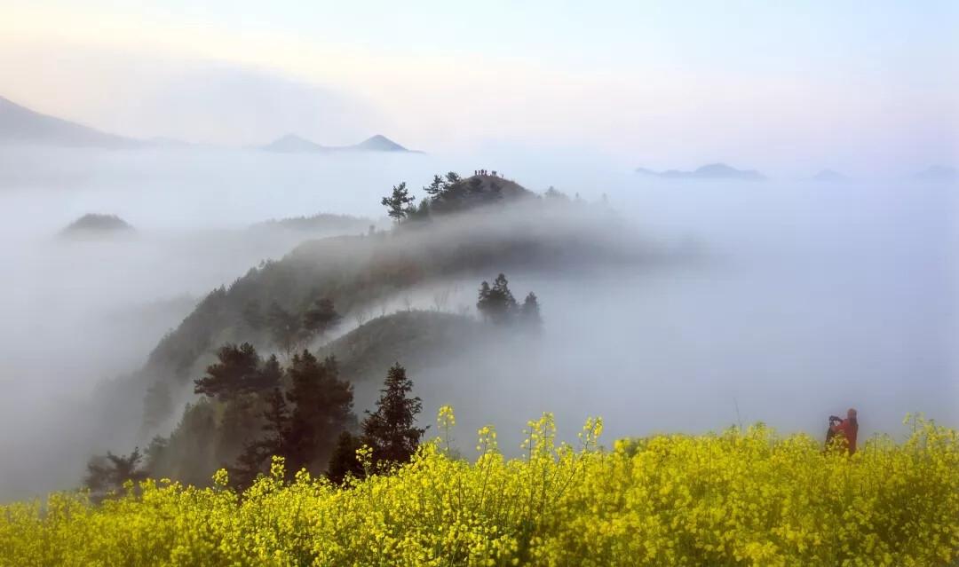 春山多胜事，赏玩夜忘归（十五首唯美的春山诗词）