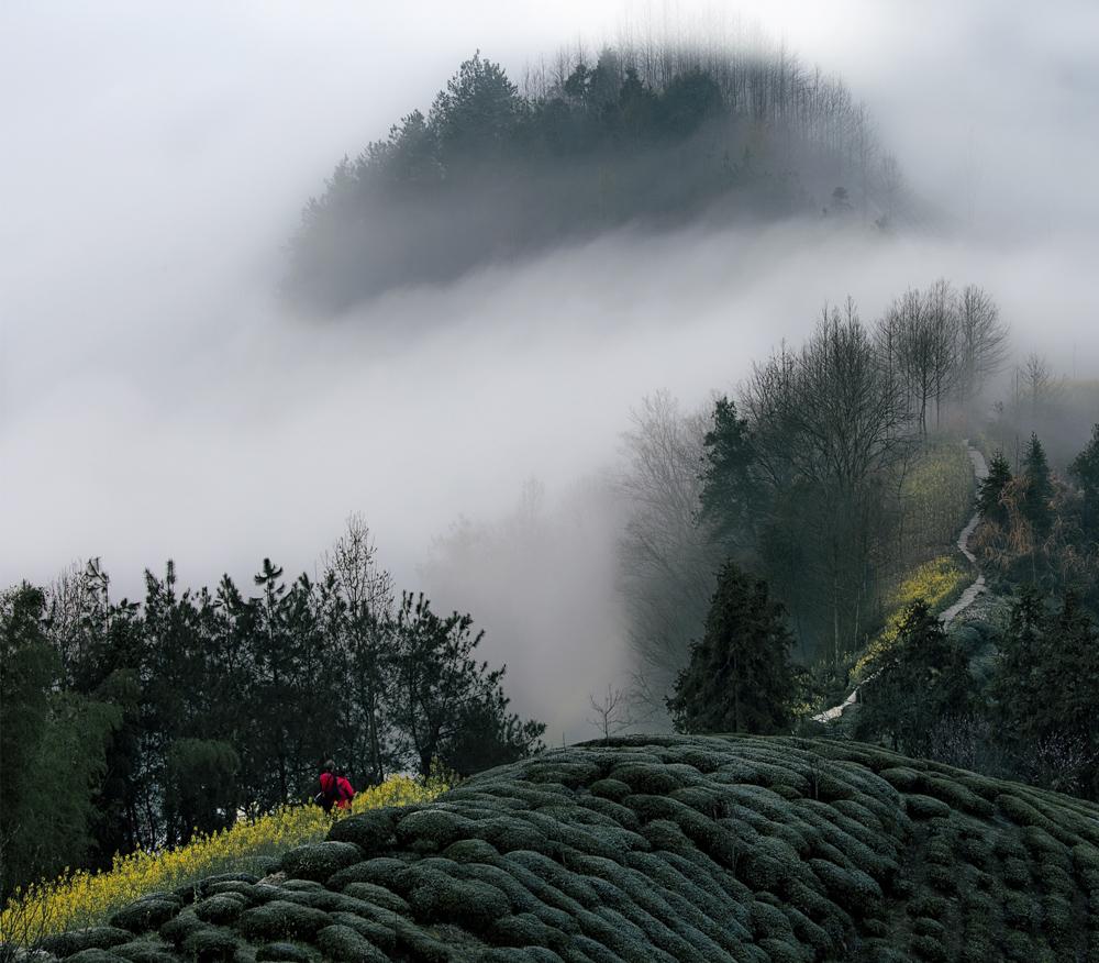 春山多胜事，赏玩夜忘归（十五首唯美的春山诗词）