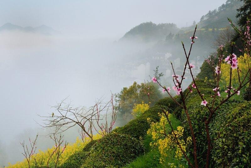 春山多胜事，赏玩夜忘归（十五首唯美的春山诗词）