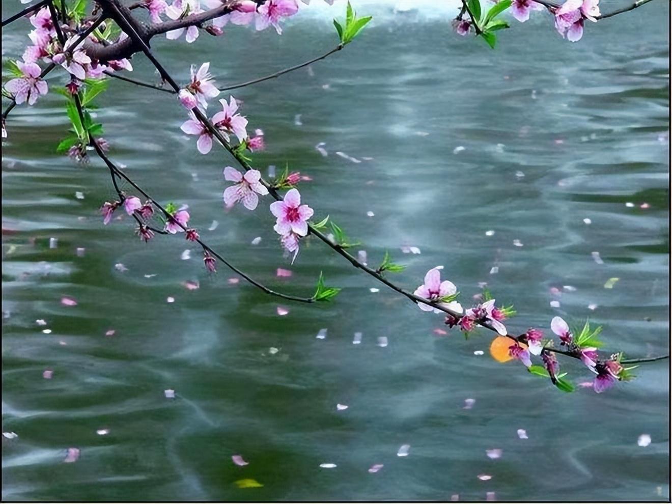 草长莺飞，微雨海棠（十首关于二月的诗词）