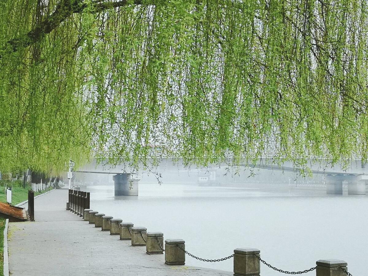 草长莺飞，微雨海棠（十首关于二月的诗词）