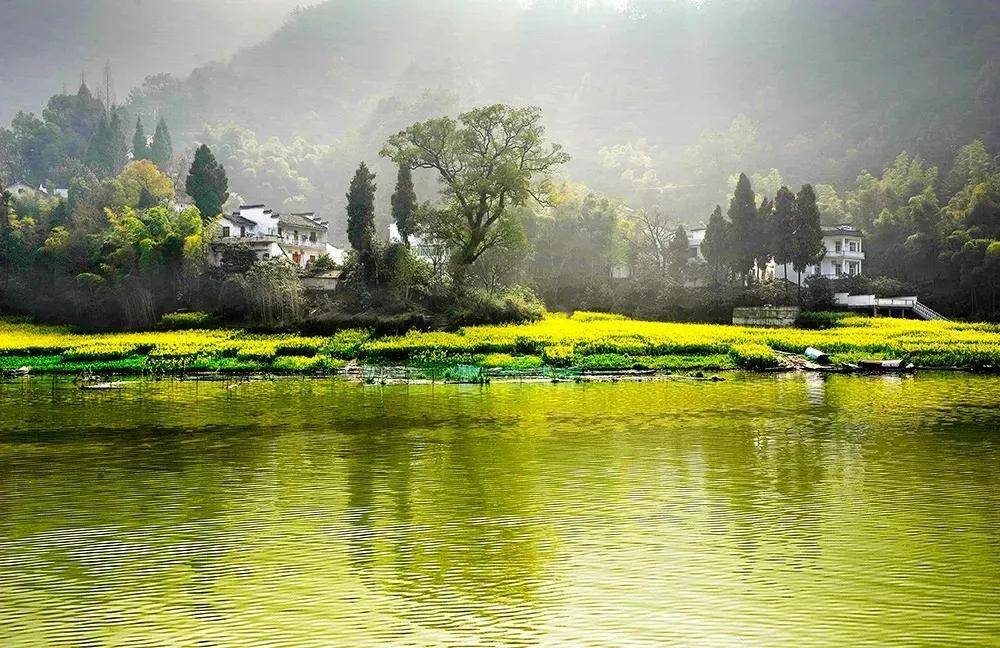 杏花春雨，草长莺飞（十首描写江南春天的诗词）