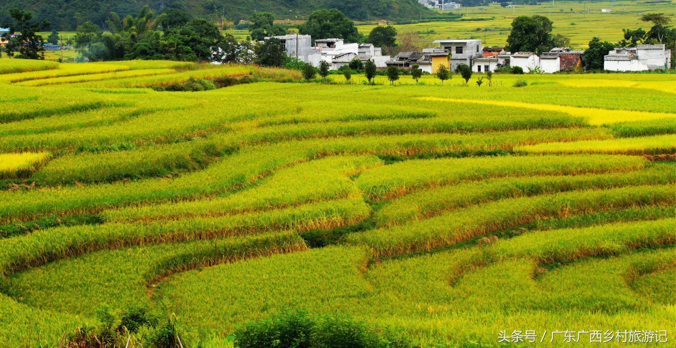 田家诗词古句精选（二十首关于田家的诗词）