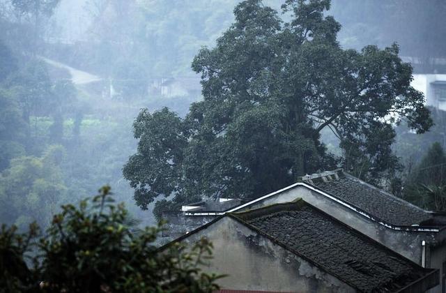 何时得遂田园乐，睡到人间饭熟时（十首关于饭熟的诗词）