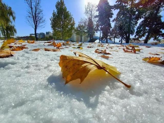 日映满窗松竹影，雪消并舍鸟乌声（十五首关于雪晴的诗词）