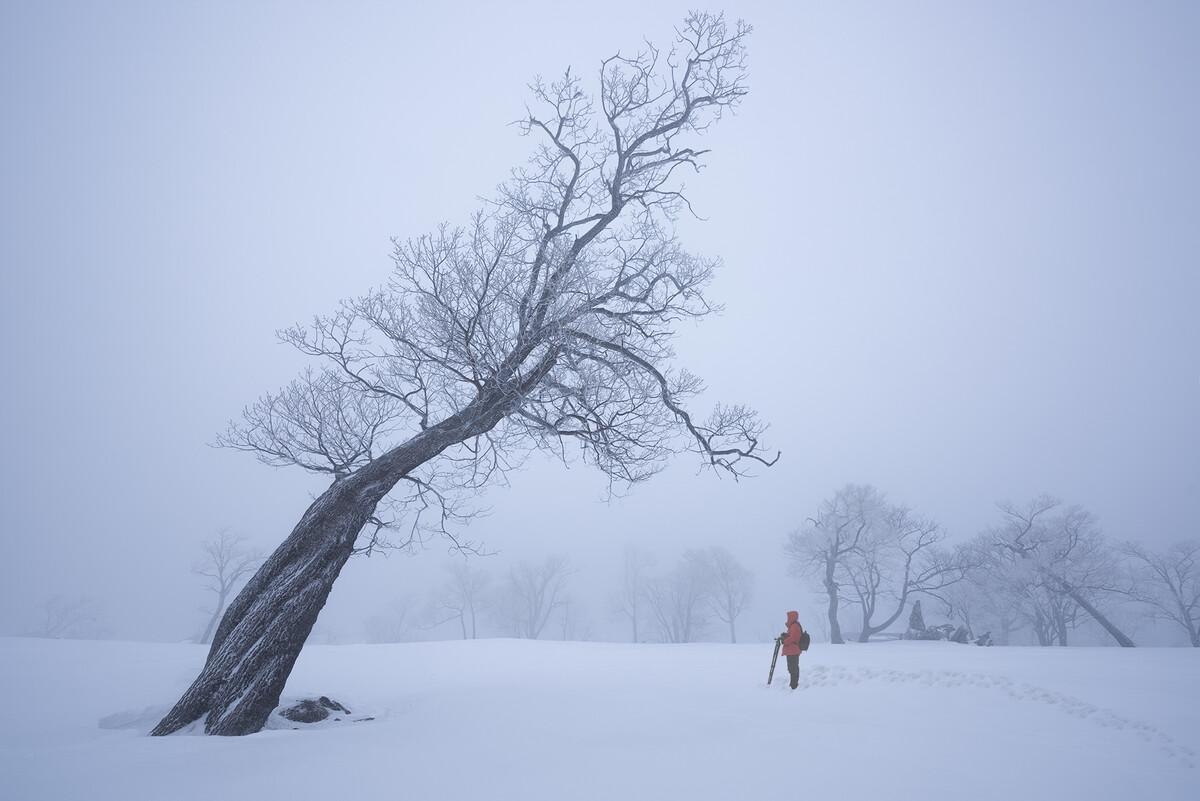 闲坐对炉常入梦，无眠听雪忽成诗（十首关于听雪的诗词）