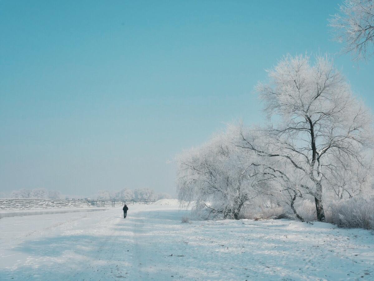 闲坐对炉常入梦，无眠听雪忽成诗（十首关于听雪的诗词）