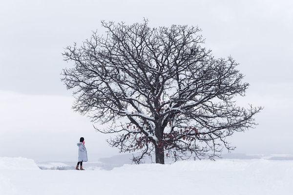 闲坐对炉常入梦，无眠听雪忽成诗（十首关于听雪的诗词）