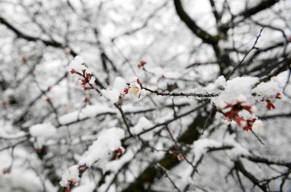 景色诗词名句摘抄（十五首雪后景色的诗词）