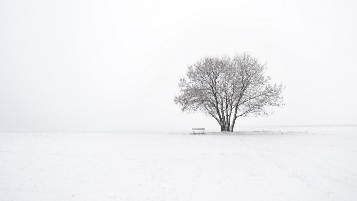 景色诗词名句摘抄（十五首雪后景色的诗词）