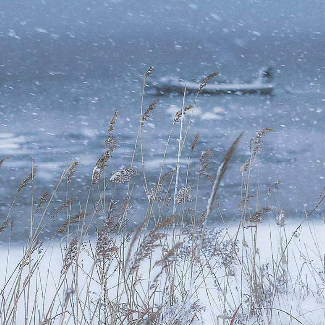 钓雪诗词名句大全（十五首钓雪的诗词）