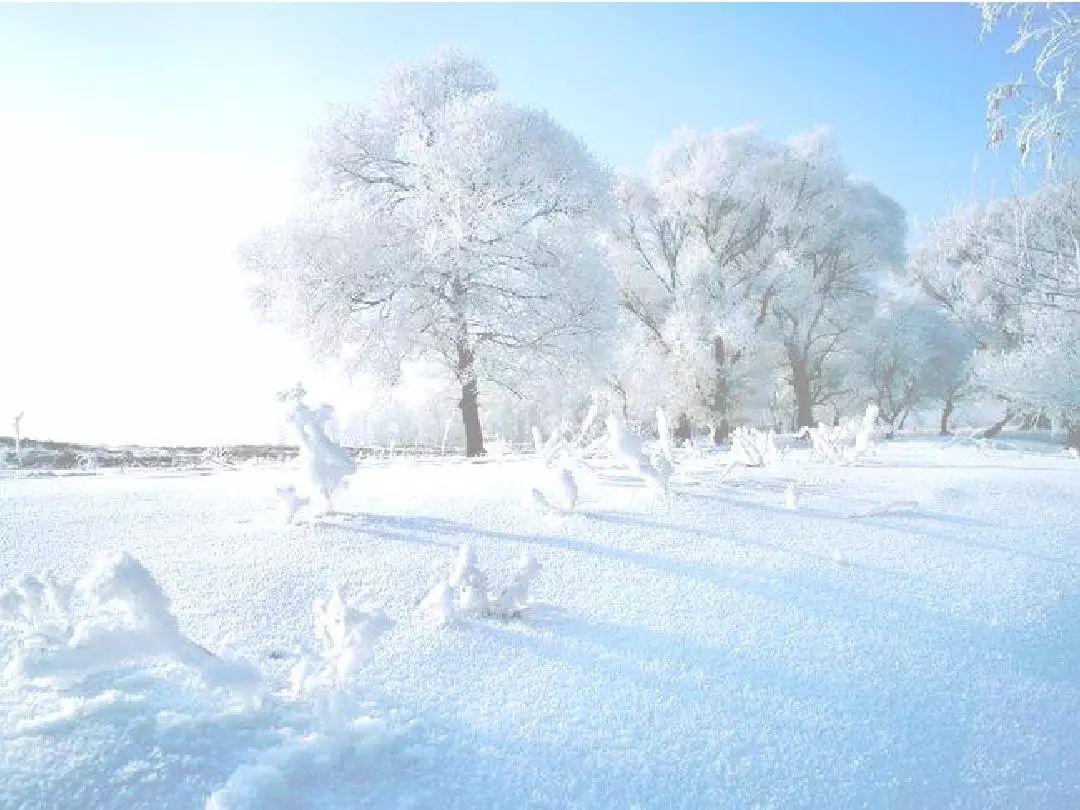 细雪诗词名句大全（十首关于细雪的诗词）