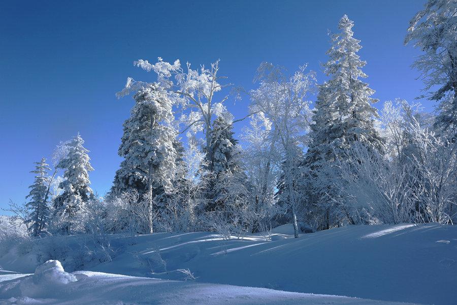 观雪诗词名句有哪些（十五关于观雪的诗词）