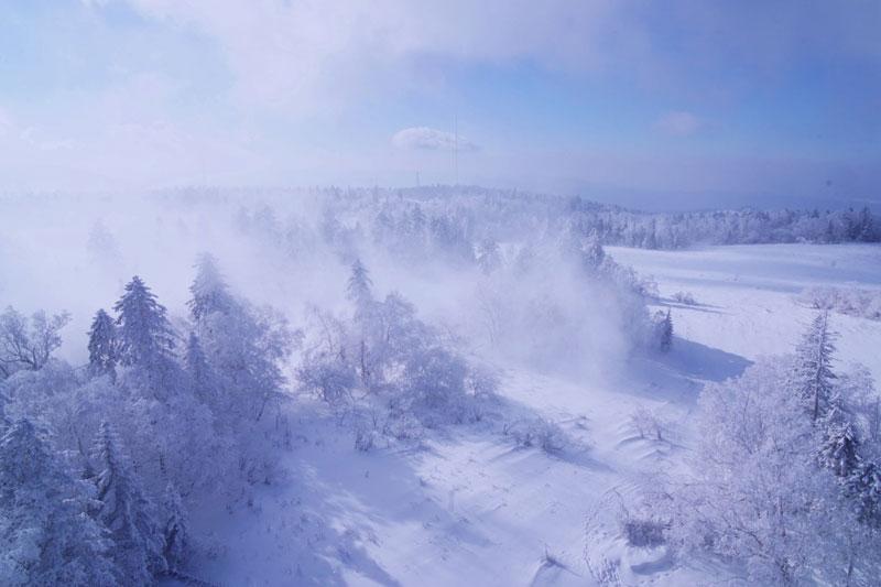 观雪诗词名句有哪些（十五关于观雪的诗词）