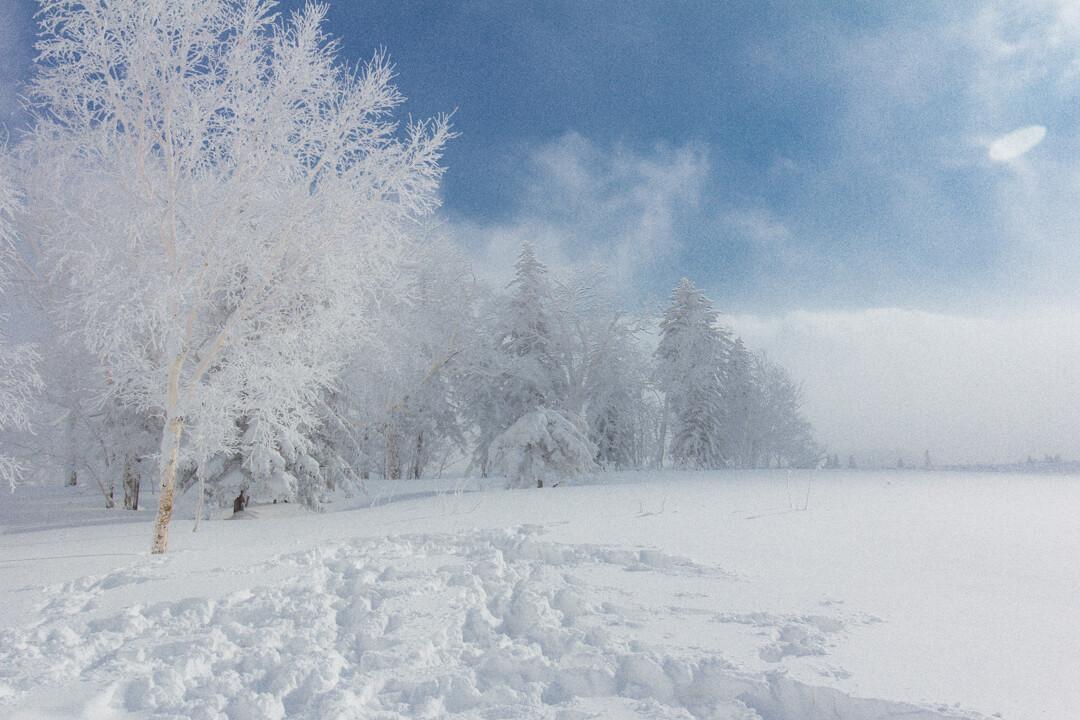 观雪诗词名句有哪些（十五关于观雪的诗词）