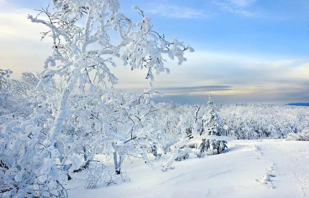 观雪诗词名句有哪些（十五关于观雪的诗词）