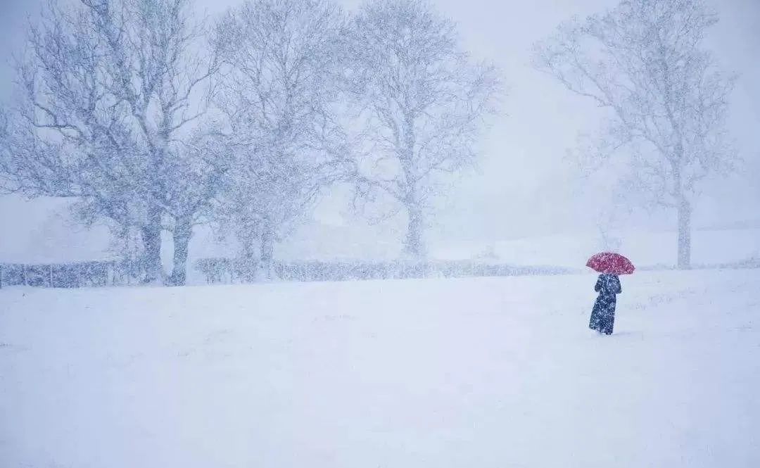 大雪压青松，青松挺且直（十首大雪经典诗词）