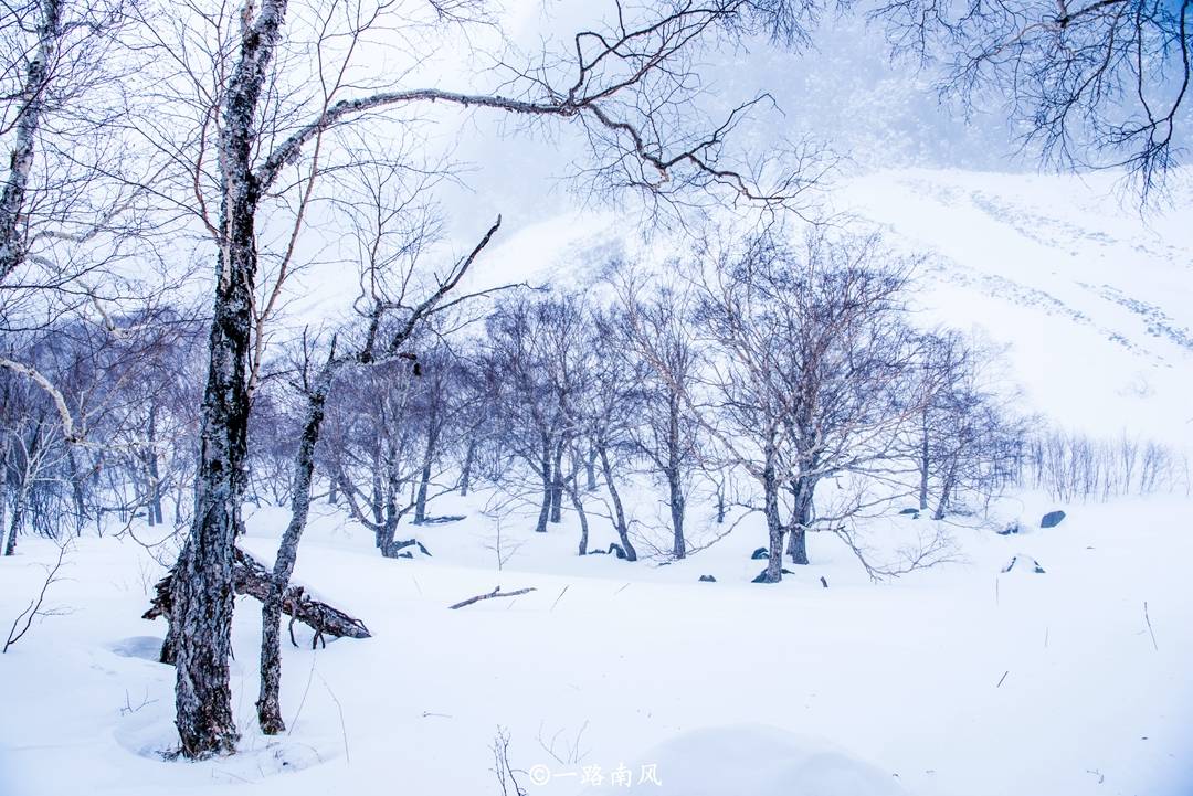 初雪诗词名句大全（十五首关于初雪的古诗词）