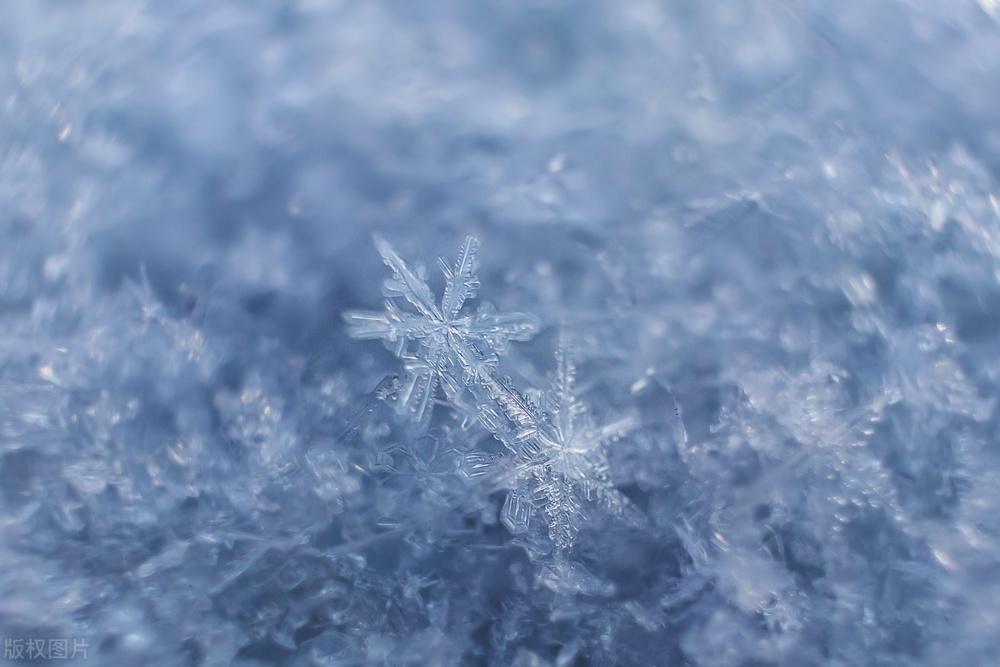 大雪诗词古句大全（吟成白雪心如素，影入梅花动诗情）