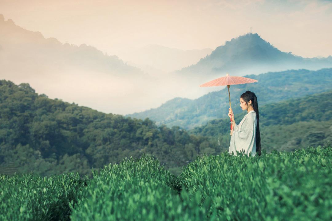 往事不言愁，余生无烦忧（焦虑的治愈系诗词）