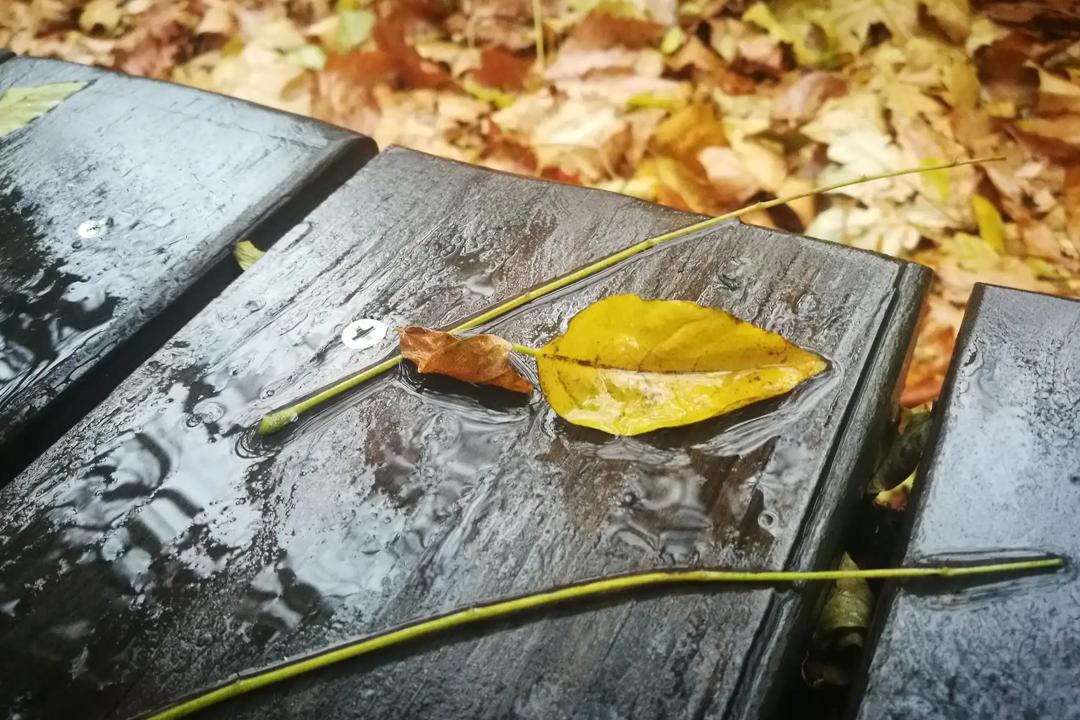 立冬诗词古句有哪些（十首诗词中的立冬）