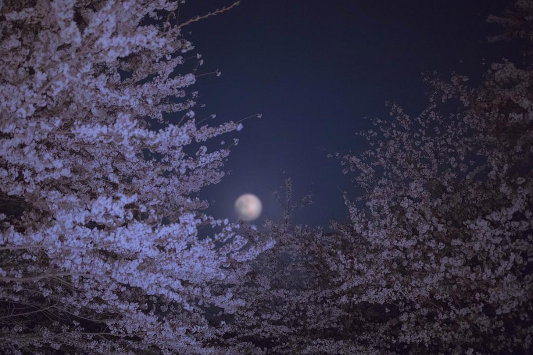 羽衣常带烟霞色，不惹人间桃李花（推荐10首道教神仙诗词）