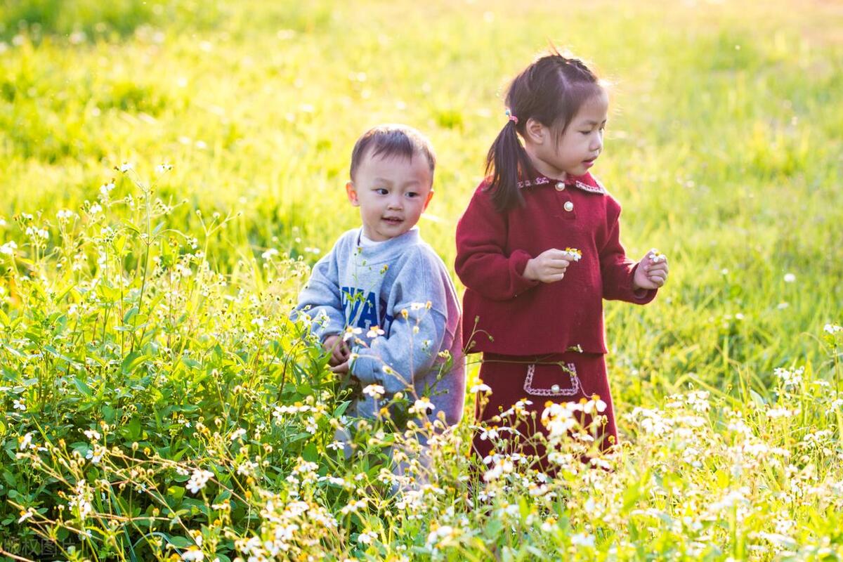 亲情唯美诗词大全（15首诗词里藏着的亲情）