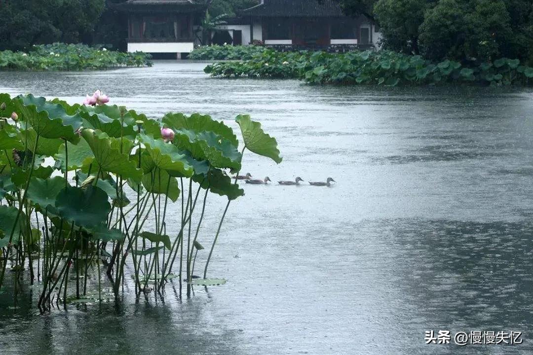 夏雨经典诗词大全（20首优美夏雨诗词）