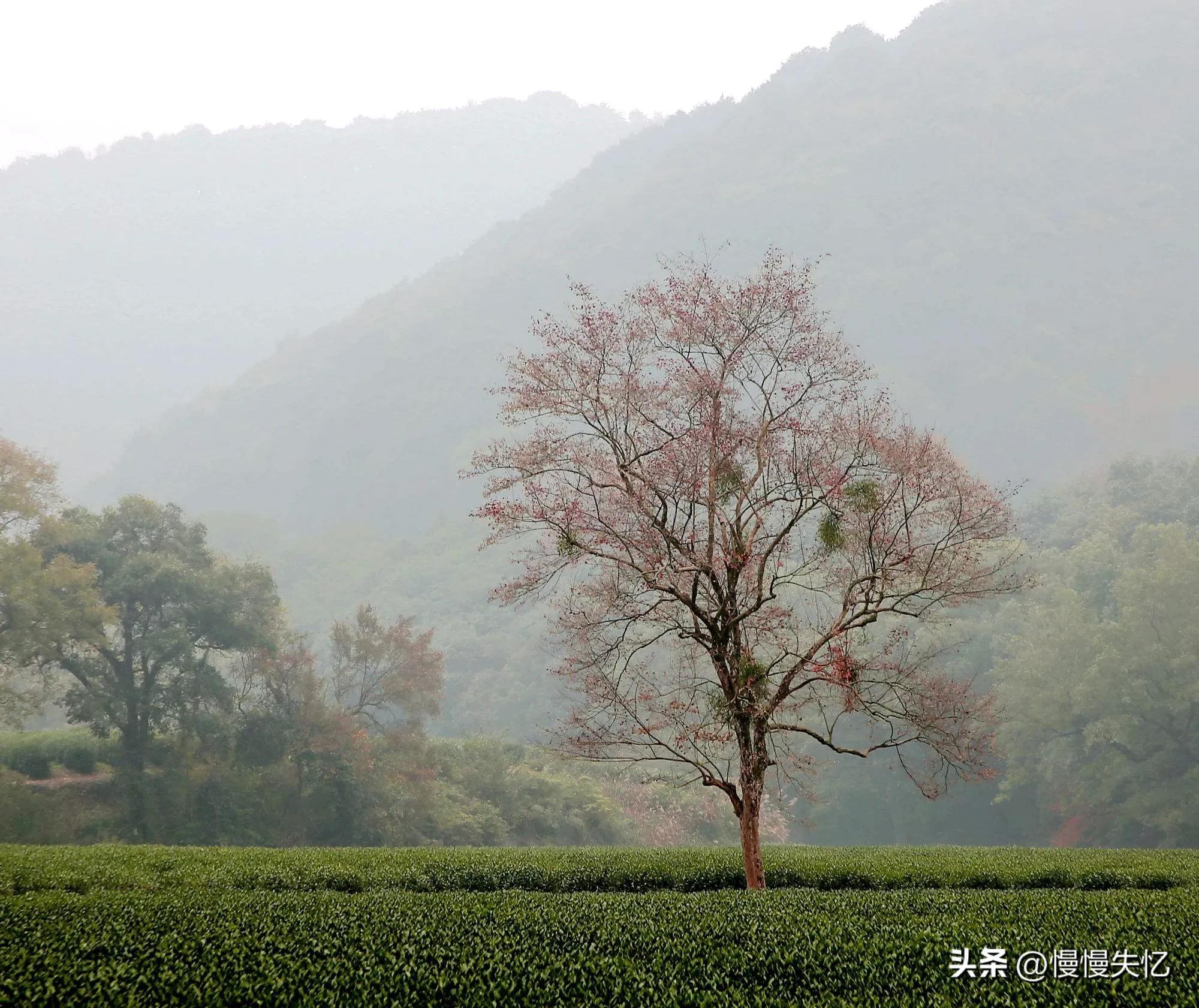 王勃经典诗词有哪些（王勃14首经典唐诗）