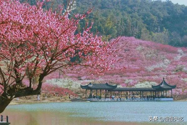 白居易经典诗词句（白居易10首五言律诗）