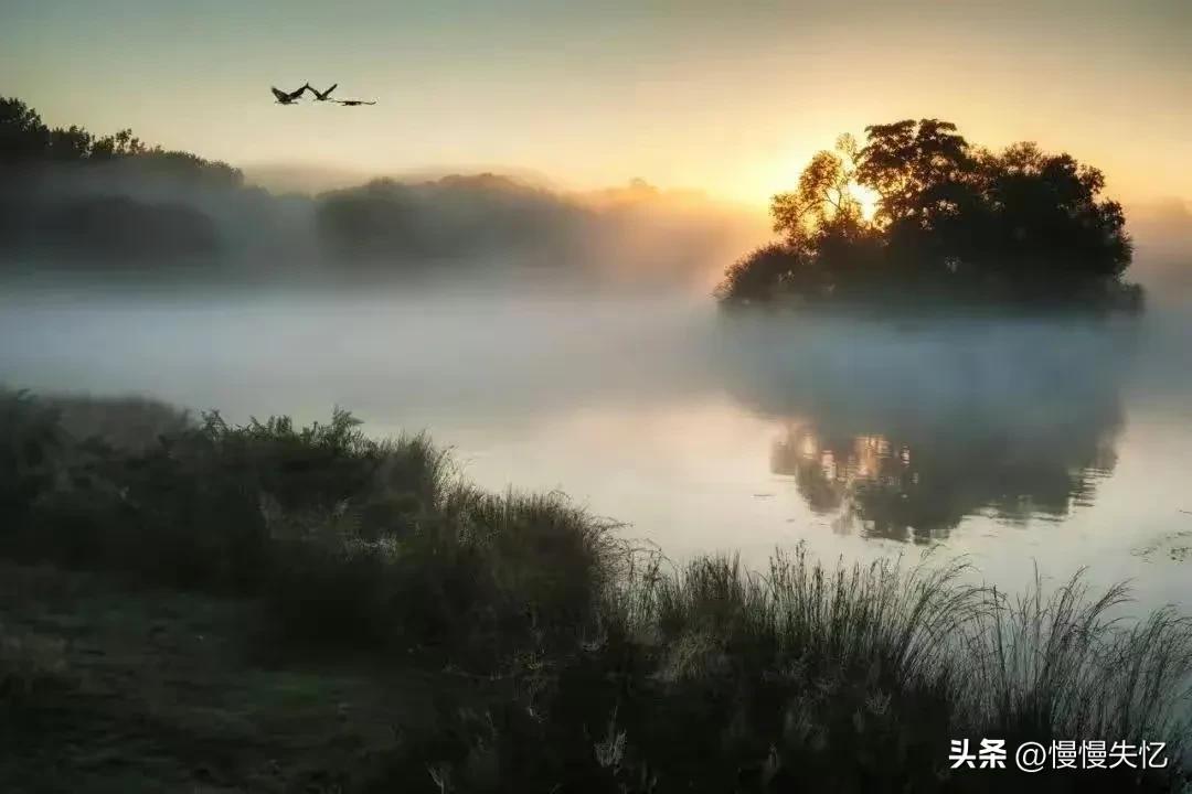 黄庭坚经典诗词有哪些（黄庭坚十首经典宋词）