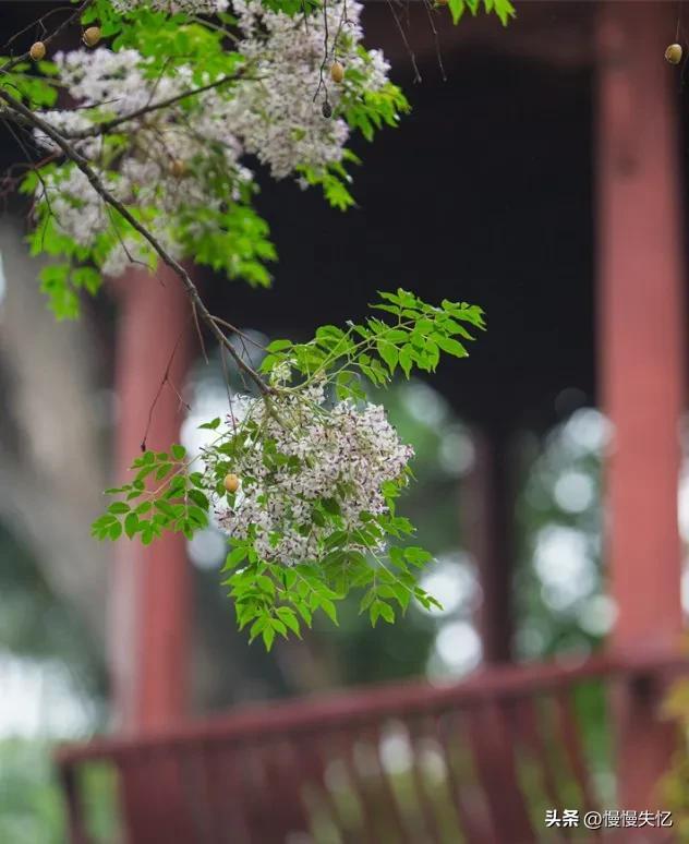 夏天青春唯美古诗（十首宋词里的唯美夏天）